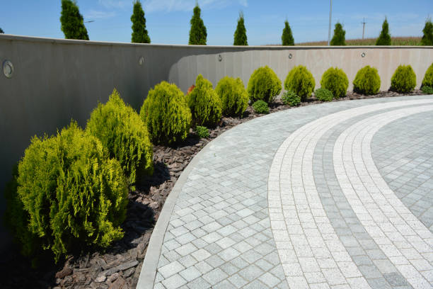 Best Affordable Driveway Paving  in Humboldt Hill, CA
